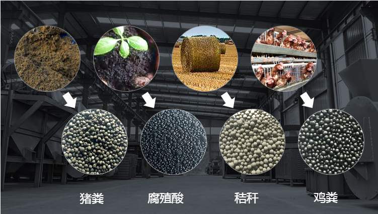 雞糞有機肥發(fā)酵設備助力綠色農業(yè)發(fā)展